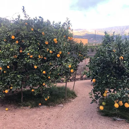 Afrikan Krisant Tenerife, Ecologica Villa *