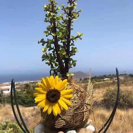 Villa Afrikan Krisant Tenerife, Ecologica