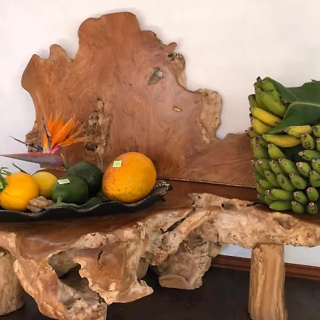 Afrikan Krisant Tenerife, Ecologica Villa Arafo