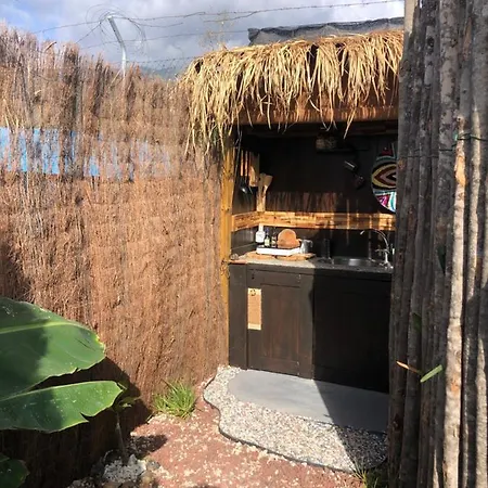 Afrikan Krisant Tenerife, Ecologica Villa