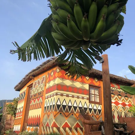 Afrikan Krisant Tenerife, Ecologica