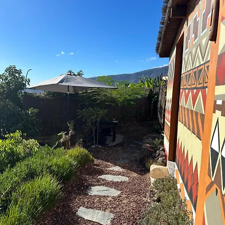 Afrikan Krisant Tenerife, Ecologica Villa Arafo