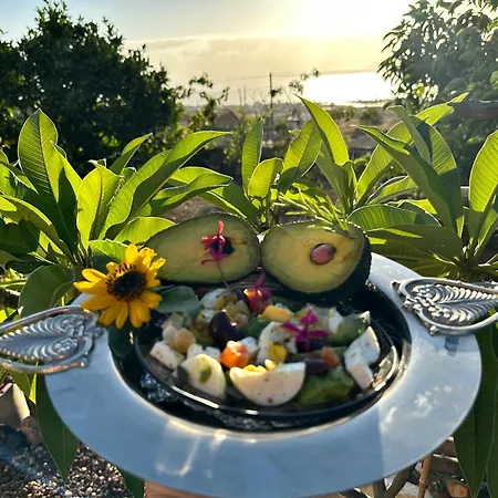 Afrikan Krisant Tenerife, Ecologica Villa