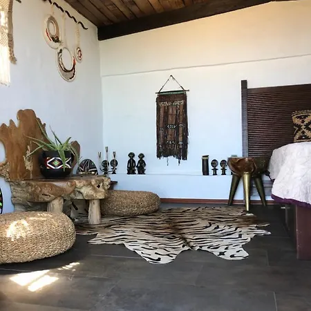 Afrikan Krisant Tenerife, Ecologica Villa Arafo