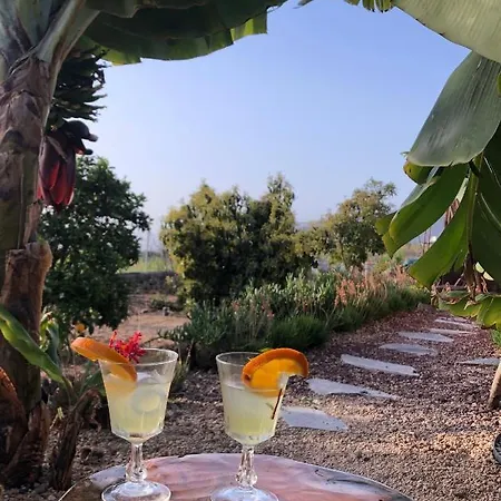 Villa Afrikan Krisant Tenerife, Ecologica *