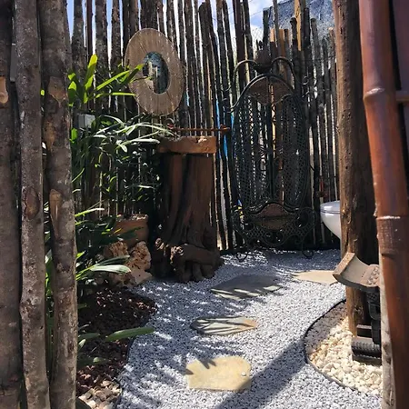 Afrikan Krisant Tenerife, Ecologica Villa