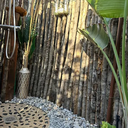 Villa Afrikan Krisant Tenerife, Ecologica Arafo